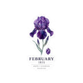 February Iris Sticker | Birth Flower, Botanical Birthday Sticker